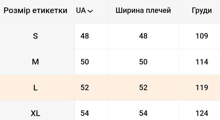 Худі "Dynamic Style": Кофта з капюшоном на замку. Ваш комфорт і стиль. Світло сіра. Розмір L Т4024350м4 фото