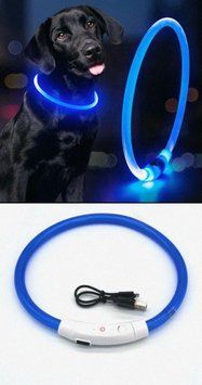 Яркий светодиодный LED ошейник для собак и котов 70 см (можно укорачивать) с USB-заряд. Видимость до 500м. Цвет СИНИЙ. LED_Nashyinyk_USB_BLUE фото