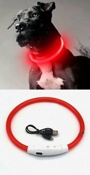 Яркий светодиодный LED ошейник для собак и котов 70 см (можно укорачивать) с USB-заряд. Видимость до 500м. Цвет КРАСНЫЙ. LED_Nashyinyk_USB_RED фото