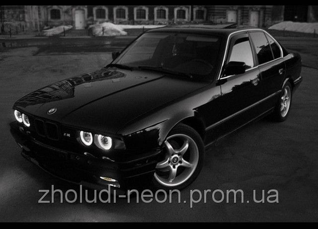 Ангельські очі CCFL-BMW E46 (без лінз) 3147826418 фото