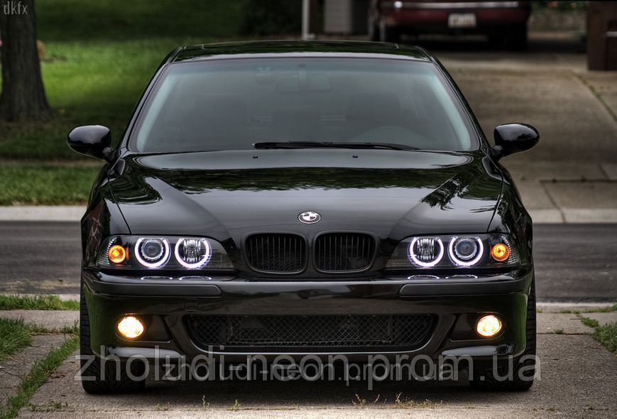Ангельські очі CCFL-BMW E46 (без лінз) 3147826418 фото