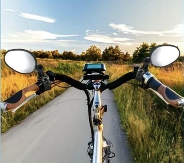 Зеркало на руль овальное вращающееся 360 выпукле для велосипеда, электросамоката, скутера 1 уп (цена за 2 шт) 2VDM-MIRROR-OVAL-002 фото